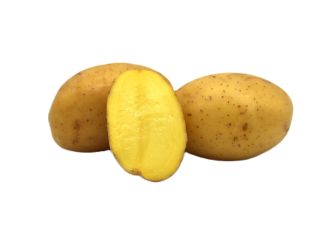 Frühkartoffel Gala Neue Ernte 2025 2Kg Tüte