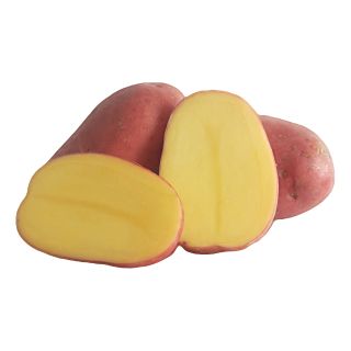 Frühkartoffel Baltic Rose Neue ernte 2025 2Kg Tüte
